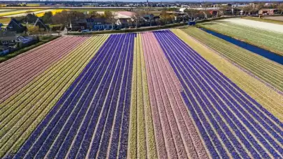 Keukenhof Lale Bahçeleri Yeniden Ziyaretçilerini Ağırlamaya Başladı, Doğanın Renk Şölenine Hazır Olun!