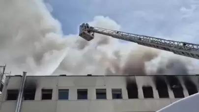 Viterbo'da Felaket: Tuscia Üniversitesi'nde Korkutan Yangın