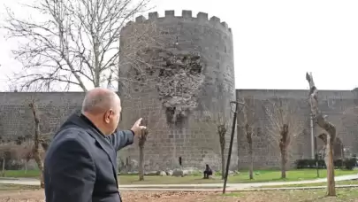 Diyarbakır Surları'ndaki "Tek Kapı" İçin Restorasyon Çağrısı: 98 Burçtan Biri Tehlikede