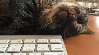 Çalışma Hayatında Sinsi Kopuş: Sessiz Çatlama