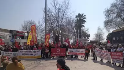 "Doğa Talanına Dur De!" Kazdağları ve Madra İçin Binler Yaşama Sahip Çıkmaya Hazırlanıyor