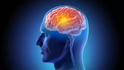 Zihninizi yaşlandıkça keskin tutabilir: Yeni araştırma bu Akdeniz tarzı diyeti işaret ediyor