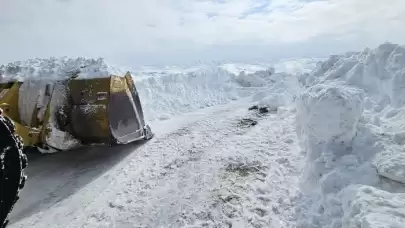 Doğu’da Kar Esareti: 198 Köy Ve Mahalle Yolu Kapandı