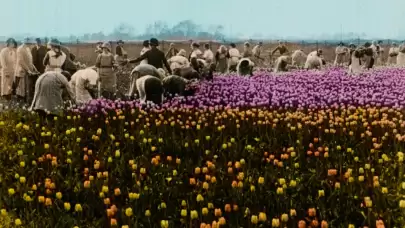 Görüntünün Büyüsü: İstanbul Modern’de "Sessiz Film Günleri" Başladı