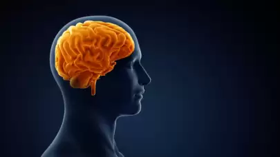 Zayıflamak, Bedeni Olduğu Kadar Zihni de Değiştiriyor