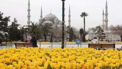 2026 İSTANBUL LALE FESTİVALİ