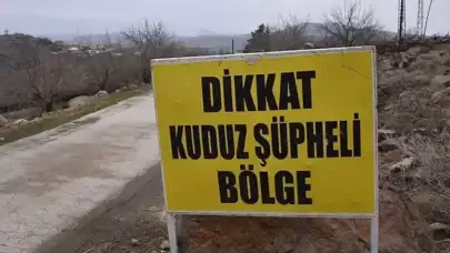 Kırsalda Alarm Çanları Çalıyor! 3 Ayrı İlde Kuduz Vakaları Tespit Edildi: Giriş-Çıkışlar Yasaklandı, Hayvan Ölümlerinin Ardından Bölge Karantinaya Alındı