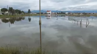 Yeni Zelanda’da şiddetli yağış: Acil durum ilan edildi