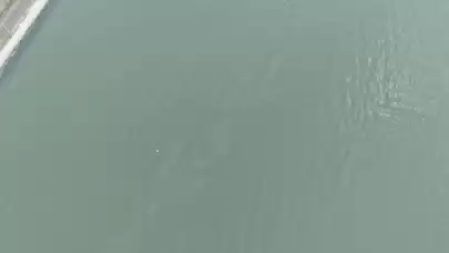 Körfezde Atık Alarmı! Denetim ekipleri Harekete Geçti: İzmir Körfezi’nde Yine Aynı Bölgede Yakıt Atığı Tespit Edildi; Sorumlulara Ceza Yağdı!