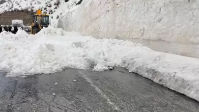 Doğu’da ulaşımı durduran çığ