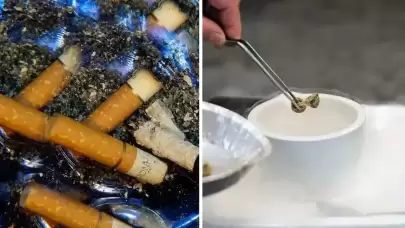 Yeni Araştırma: Psikedelik Mantarlar Sigarayı Bırakmayı Kolaylaştırabilir Mi?