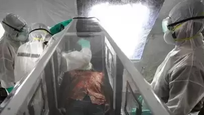 Ebola virüsü nedir, nasıl bulaşır?
