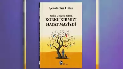 Edebiyatta Alışılmış Kalıpları Yıkan Bir Başyapıt: “Korku Kırmızı, Hayat Maviydi”
