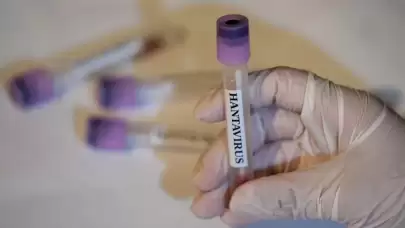 Dünya Sağlık Örgütü’nden hantavirus açıklaması