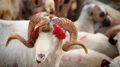 Bayram Tatili Kaç Gün Sürecek? 2026 Kurban Bayramı Detayları