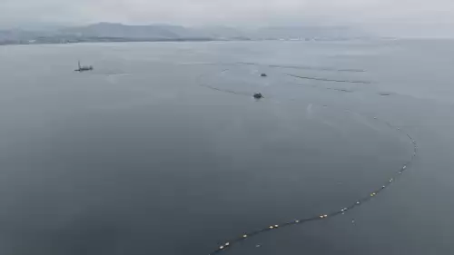 İzmit Körfezi'nde Yapılacak Düzenleme Sonrası Deniz Hayvanlarıyla Dolu Bir Akvaryum Gibi Olacak