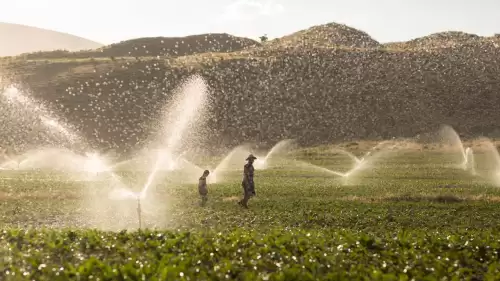 Uşak'taki Çiftçilere Sulama Sezonunda Yeni Bir Kolaylık Sağlanıyor
