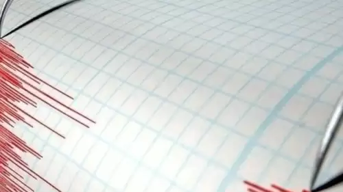 Deprem Beklentisi Artıyor: 30 Fay Hakkında Yapılan Açıklama Şaşırttı!