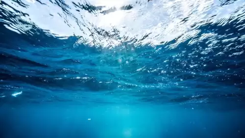Dünyanın Derinlikleri Hâlâ Gizemini Koruyor: Deniz Tabanının Sadece %0,001’i Keşfedildi