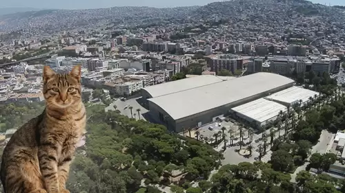 Büyükşehir’den Fotokopi Makineleri İçin Yasak Kararı