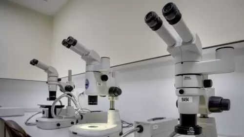 Bir Damla Kan İzi, 19 Ay Önceki Gasp Cinayetini Çözdü