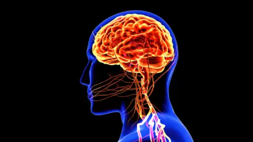 Migrenin görsel işlemleme ve ağrı mekanizmalarıyla bağlantısı ortaya çıktı