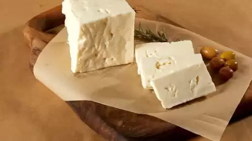 Ezine Peyniri Gerçekten Ezine’den mi? Coğrafi İşaretin Arkasındaki Sır