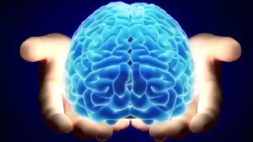 20 yıllık nörobilimciden öneriler: Beyni genç tutmanın 6 basit yolu