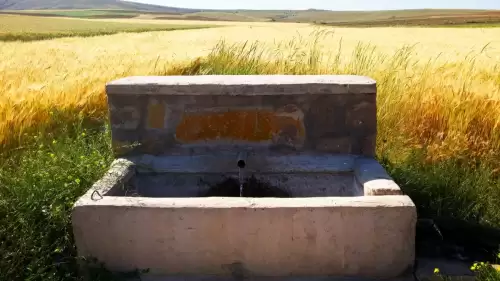 Hayati Uyarı: Su Yönetimi Kaosa mı Sürükleniyor? "Suyun Ticarileştirilmesi Kapıda" Tehlikesi: Tek Elden Yönetim ve Kamusal Hak Vurgusu