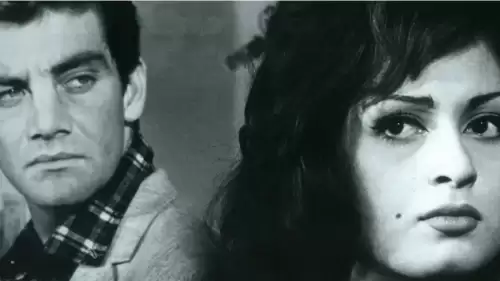 45 Yıllık Bir Aşk Hikayesi: İstanbul Film Festivali’nin Bitmeyen Gençliği