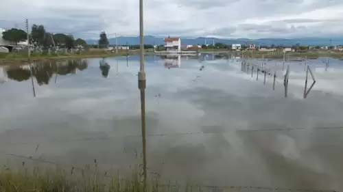Yeni Zelanda’da şiddetli yağış: Acil durum ilan edildi