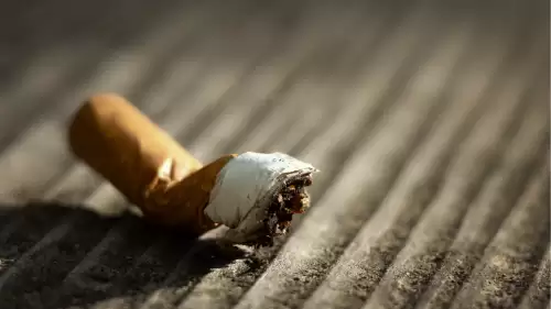 Rakamlarla Türkiye’de Tütün Bağımlılığı: 2010’dan 2022’ye Ne Değişti?(veri haberi)