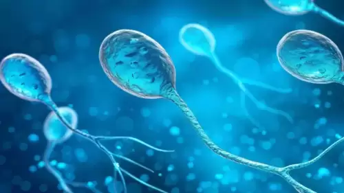 Görünmeyen Tehlike: Stres Doğurganlığı Etkiliyor