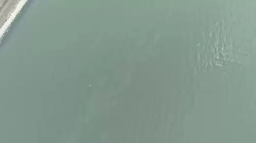 Körfezde Atık Alarmı! Denetim ekipleri Harekete Geçti: İzmir Körfezi’nde Yine Aynı Bölgede Yakıt Atığı Tespit Edildi; Sorumlulara Ceza Yağdı!