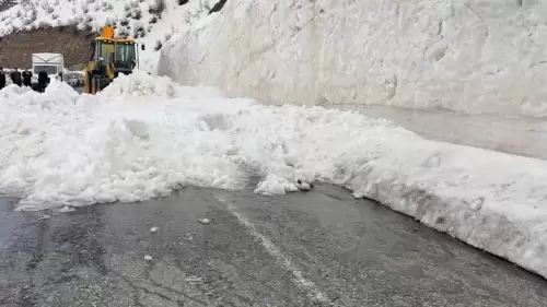 Doğu’da ulaşımı durduran çığ