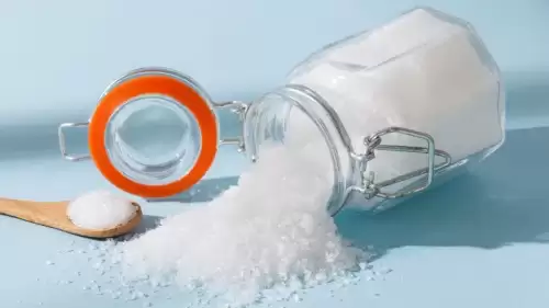 Sodyumun Hücresel Hasarı: Aşırı Tuz Tüketiminin Mide Mukozası ve Mikrovasküler Demans Üzerindeki Patolojik Etkileri