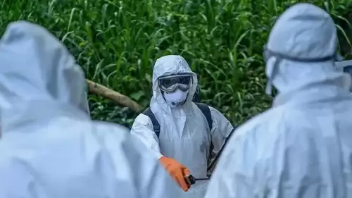 DSÖ’den uyarı: Ebola için bölgesel risk yüksek seviyede