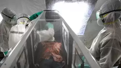 Ebola virüsü nedir, nasıl bulaşır?