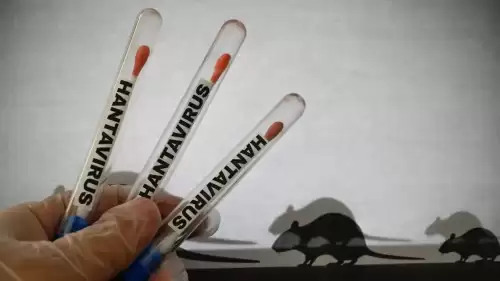 Hantavirüs Araştırmasında Yeni Bulgular Endişe Yarattı