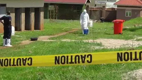 Dünya Sağlık Örgütü’nden Ebola İçin Küresel Alarm