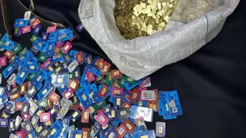 Mali suç operasyonunda yüklü miktarda altın ve döviz bulundu