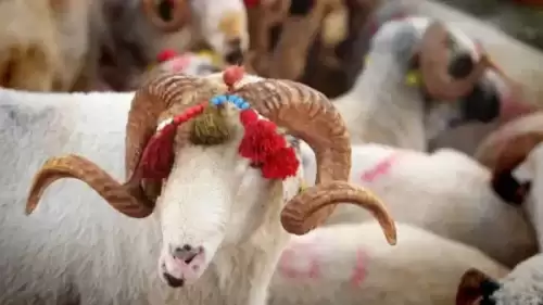Bayram Tatili Kaç Gün Sürecek? 2026 Kurban Bayramı Detayları