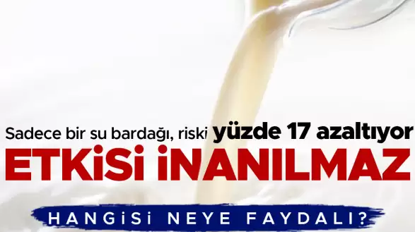 Etkileyici Sonuçlar: Günde Sadece 1 Bardak İnek Sütü Tüketiminin Sağlığa Olan Yüzde 17'lik Olumlu Etkisi Ortaya Çıktı! Süt ve Süt Ürünlerinin Sağlık Üzerindeki Faydaları Neler?