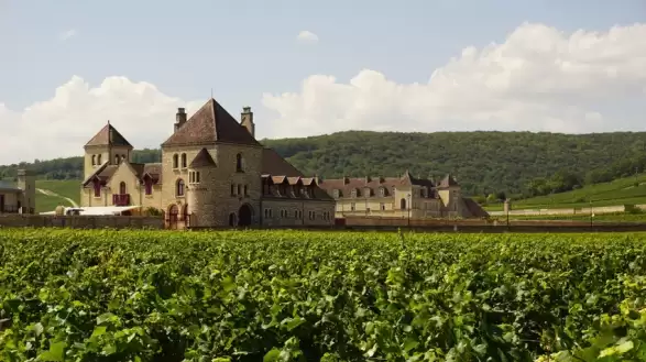 Avrupa’da Damak İzinde Yolculuk: 5 Gastronomi Rotası Öne Çıkıyor