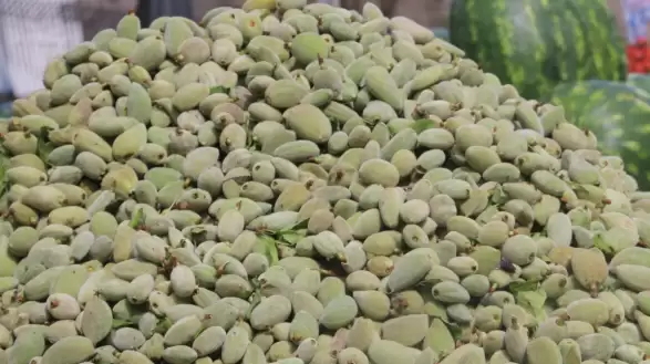 Tadımlık Bile Lüks Oldu! Çağla Badem Fiyatı Bir Yılda 5 Kat Arttı: Kilo İle Değil, Gramla Bile Almak Zor