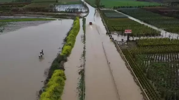 İzmir’in Bereketli Toprakları Su Altında! Ödemiş’te Şiddetli Yağış Hayatı Felç Etti: Kara Yolları Kapandı, Üretici Çaresiz Kaldı