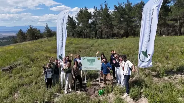 Bir yazarın çağrısı üç yılda yedi ormana dönüştü