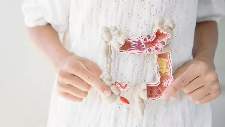 Parkinson'un işareti yıllar öncesinden bağırsaklarda görülebilir