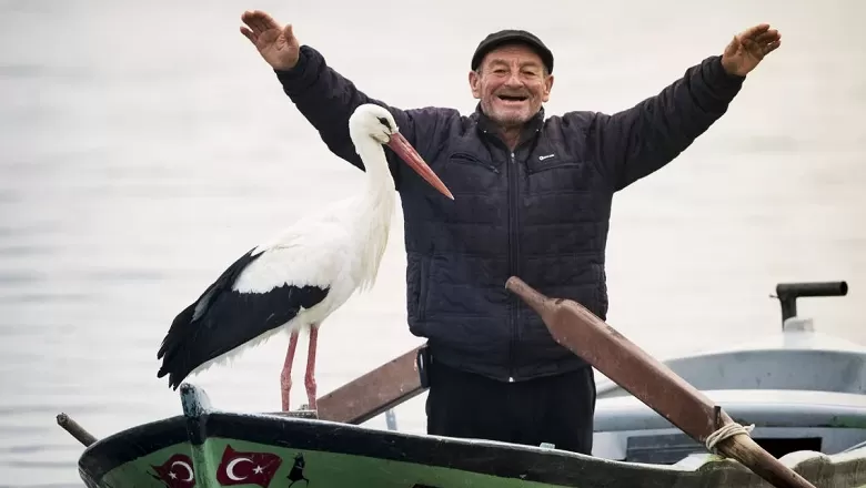 “Adem Amca’nın ‘Yaren’i Baba Oldu: Balıkçı Teknesinin Sadık Misafiri Artık Yavrularıyla Birlikte”