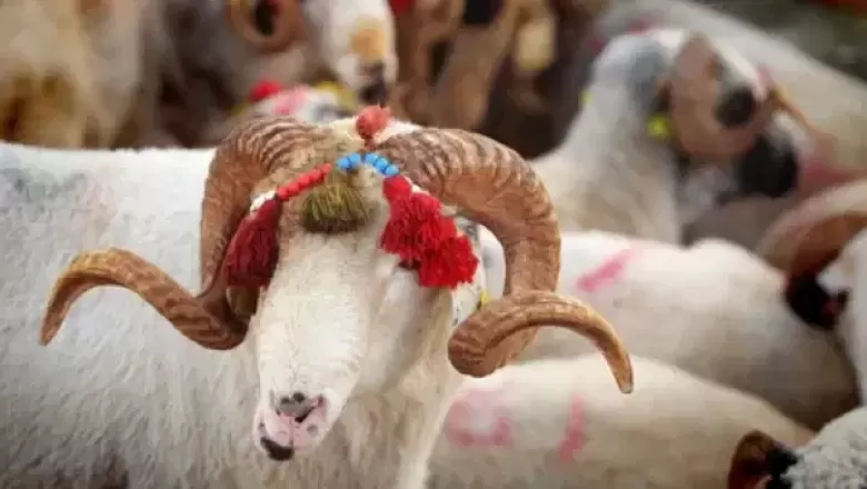Bayram Tatili Kaç Gün Sürecek? 2026 Kurban Bayramı Detayları